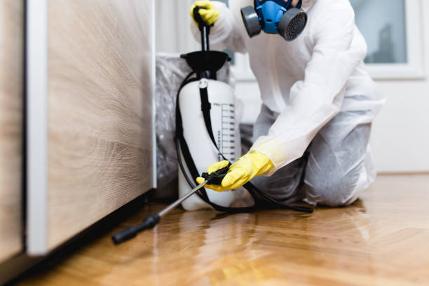 Best Bed Bug Extermination  in St Michael, MN
