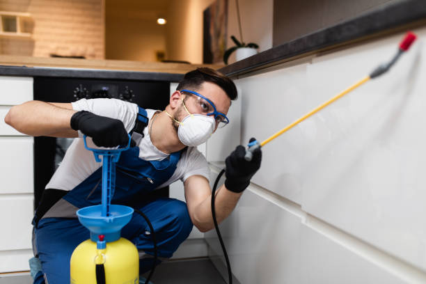 Best Commercial Pest Control Services  in St Michael, MN
